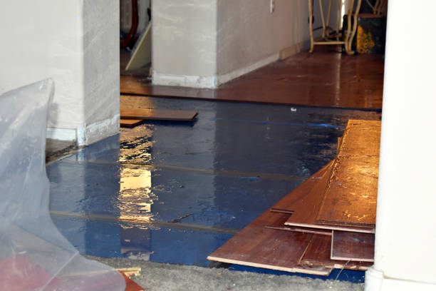 Professional Water Damage technician working in Pewamo, MI