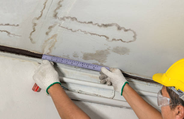 Reliable Water Damage contractor in Pewamo, MI by Water Damage Irwin